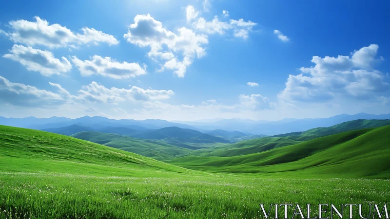 Emerald hills breathing under a wide open sapphire sky.