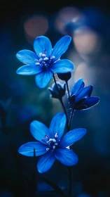 Luminescent Blue Flowers with Selective Focus Depth.