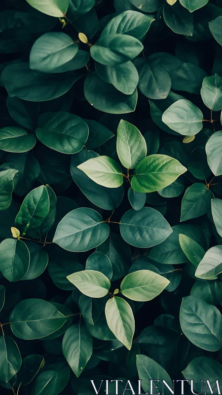 Dense green foliage pattern with layered oval leaves.