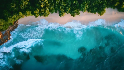 Emerald treeline meets turquoise surf in aerial shoreline ballet.
