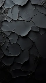 Shattered obsidian skins spread in moody charcoal silence.