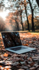 Laptop resting on autumn leaves for cozy outdoor focus.