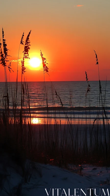 Sunset through dune grass over tranquil winter shoreline.