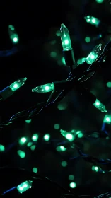Emerald LED string lights in selective focus against black background.