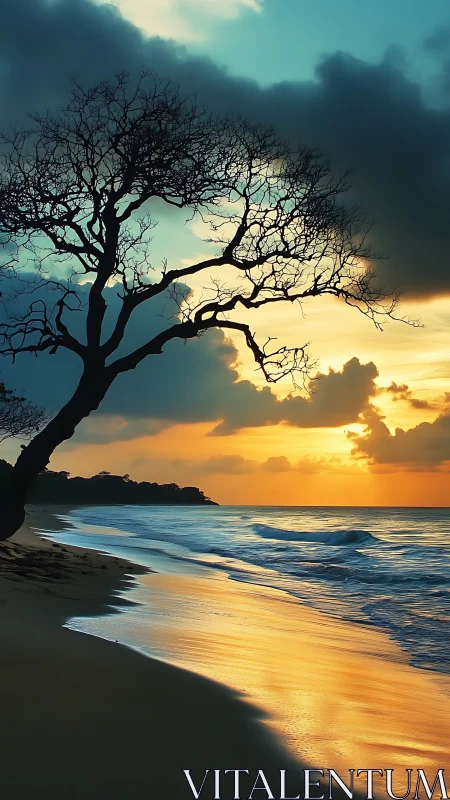 Coastal silhouette tree against luminous golden sunset sky.