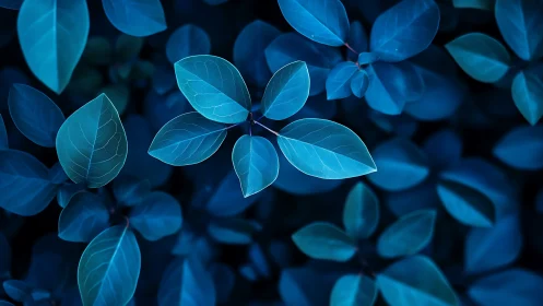 Luminous blue leaves glow softly against a shadowed forest floor