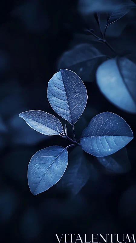 Midnight sapphire leaves drifting through quiet shadowed air.