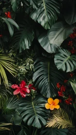 Vibrant Tropical Garden Where Nature's Colors Dance.