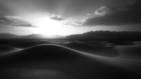 Gentle sunrise unfolding over calm monochrome desert dunes.