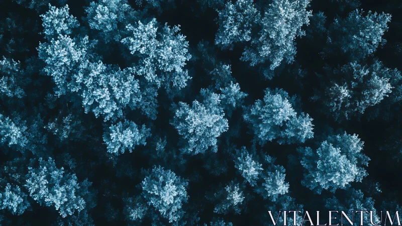 Top-down winter forest canopy rendered in high-contrast cyan tones