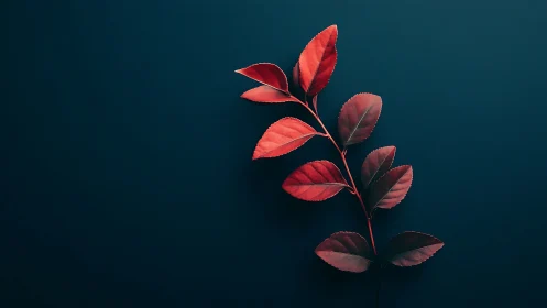 Diagonal red leaf stem contrasts against deep teal negative space