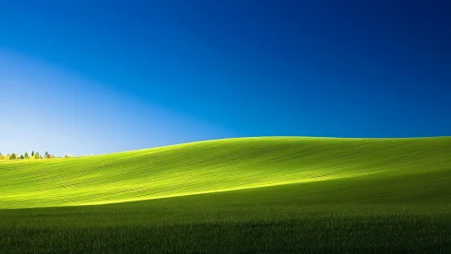 Sunlit green hill rolls gently beneath a calm blue sky