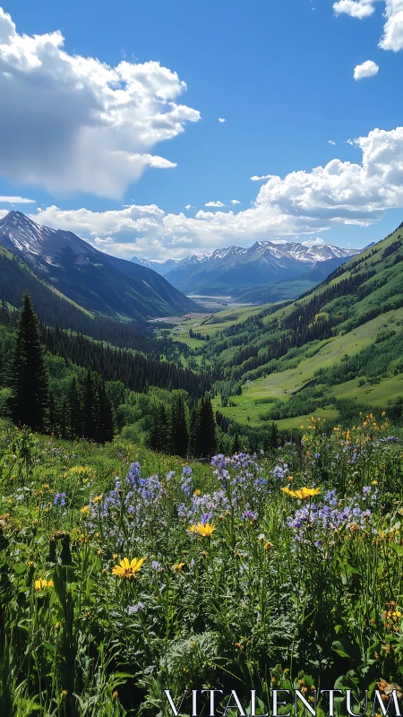 Sunny wildflower meadow opening to peaceful mountain valley.