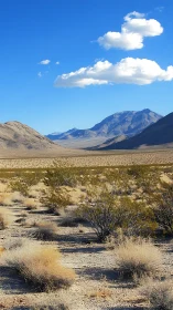 Cloud caravans drifting above sunlit desert mountainscape.
