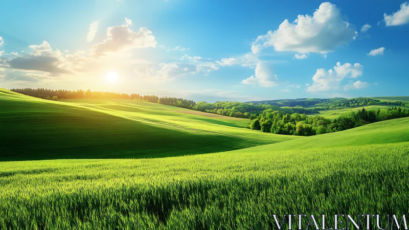 Sunlit emerald hills rolling under a wide dreaming sky.