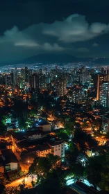 Elevated night skyline with neon-lit dense urban core.