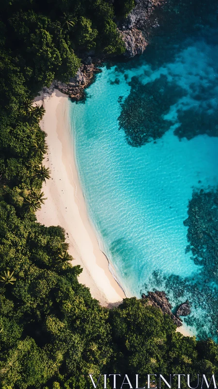 Turquoise Paradise: Where Forest Meets Dream Beach.