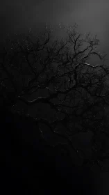 Quiet night branches stretching softly into the dark sky.