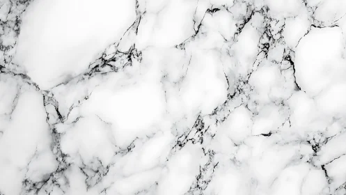 High-key white marble surface with fine grayscale veining detail