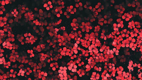 Crimson petal clusters on deep black abstract ground.
