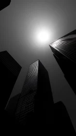 Sun-stung monoliths drinking light in a noir sky.