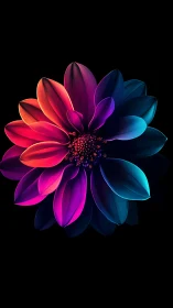 Neon Gradient Flower on Black Background.