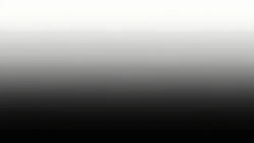 Monochrome vertical gradient from white to black tones.