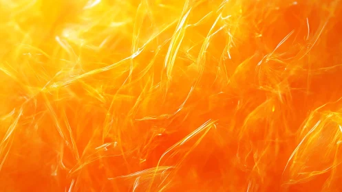 Vivid Abstract Orange and Yellow Feather Texture in Soft Focus.