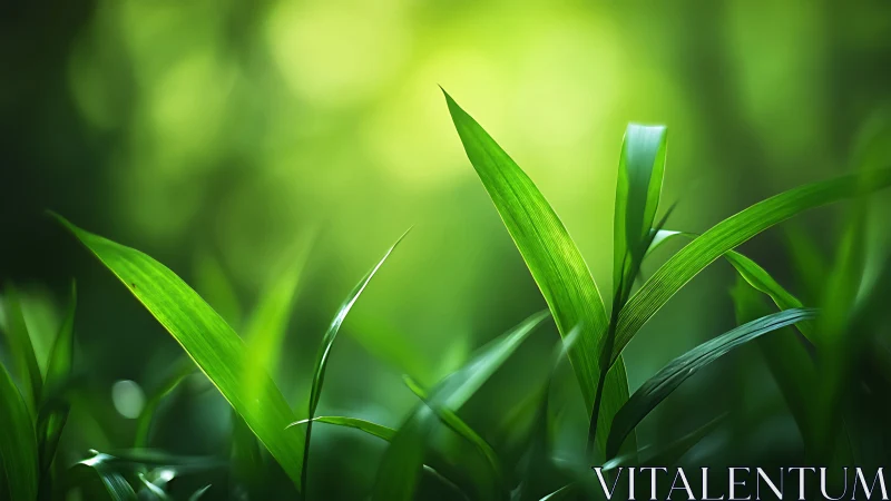 Green blades whisper quietly into a glowing forest hush