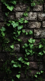 Photorealistic ivy and moss layering over weathered brick wall.