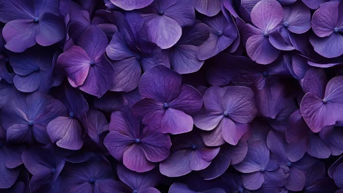 Purple Hydrangea Petals Layered in Dense Organic Composition.