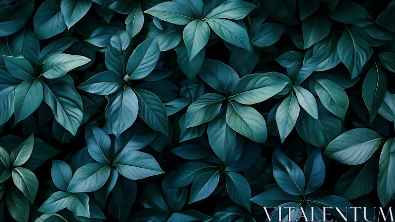 Dark teal tropical leaves forming dense natural pattern.