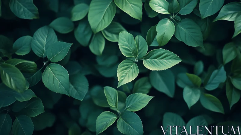 Gentle green leaves unfold in a calm, softly lit garden