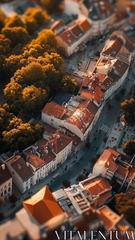 Sunlit old town street with red roofs and tree canopy.