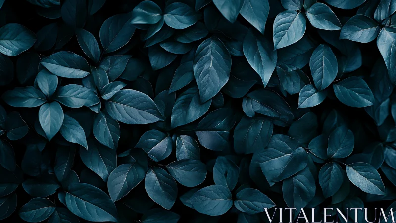 Low-key macro foliage study with teal-toned elliptical leaves