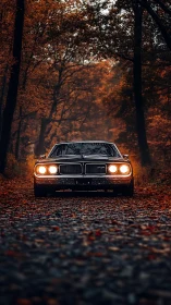 Classic muscle car glows through a moody autumn forest road.