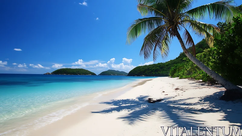 Tropical Beach Paradise with Palm Trees, Turquoise Waters, and Island Backdrop.
