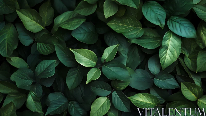 Lush green foliage forms a tranquil natural background