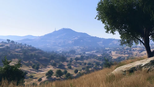 Sunlit digital hills roll toward a distant hazy summit.