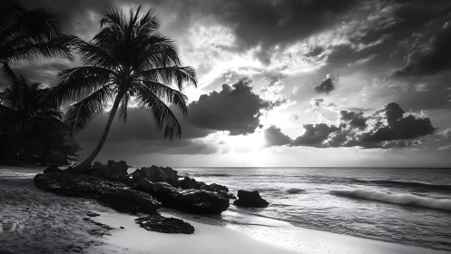 Monochrome tropical shoreline with silhouetted palm trees at dusk.
