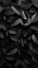 Monochrome overlapping leaves with fine surface texture.