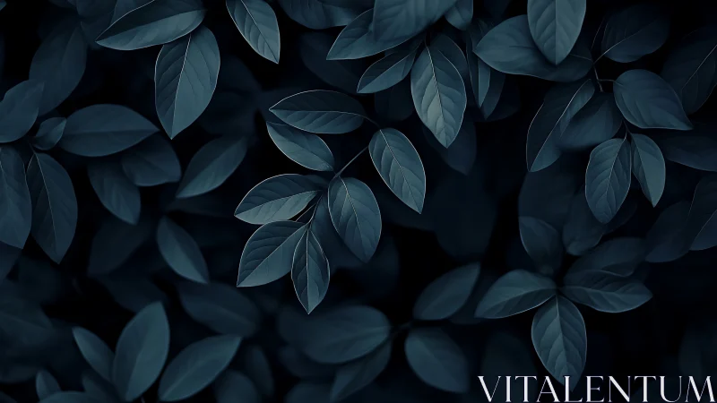 Midnight leaves whisper softly through a velvet forest hush