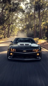 Muscle car charges down forest road in golden evening light