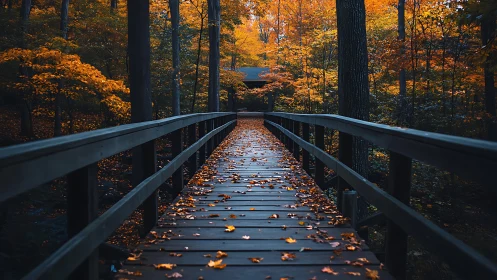 Linear perspective boardwalk through saturated autumn canopy.