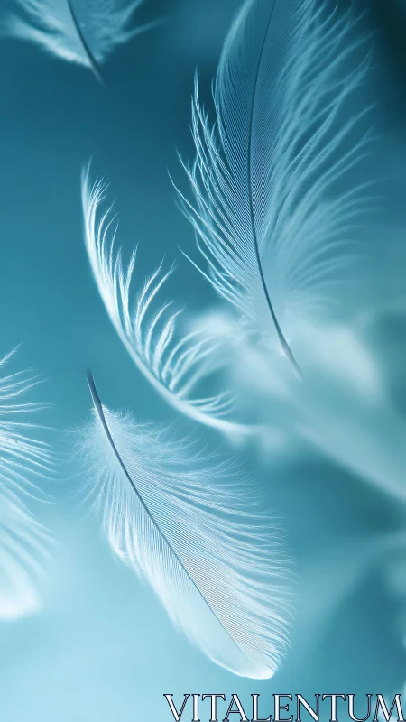 High-key macro study of floating white feathers in cyan field