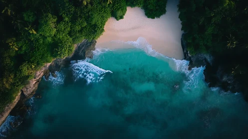 Aerial Turquoise Cove with Forest Margins.