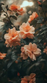 Rose specimens in soft focus landscape.