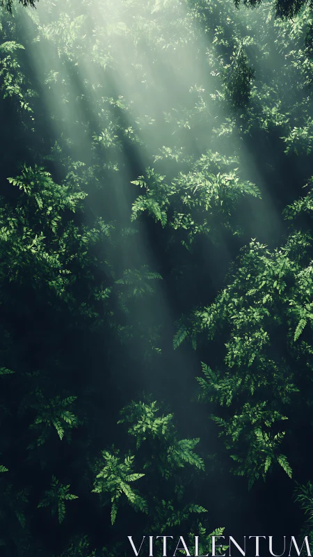 Sunlit Forest Canopy: Rays Through Dense Green Foliage.