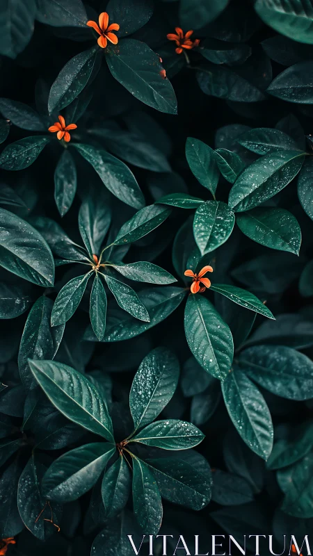 Moody green foliage with tiny orange blossoms softly glowing