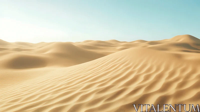 Aeolian dune field under directional low-angle solar illumination.